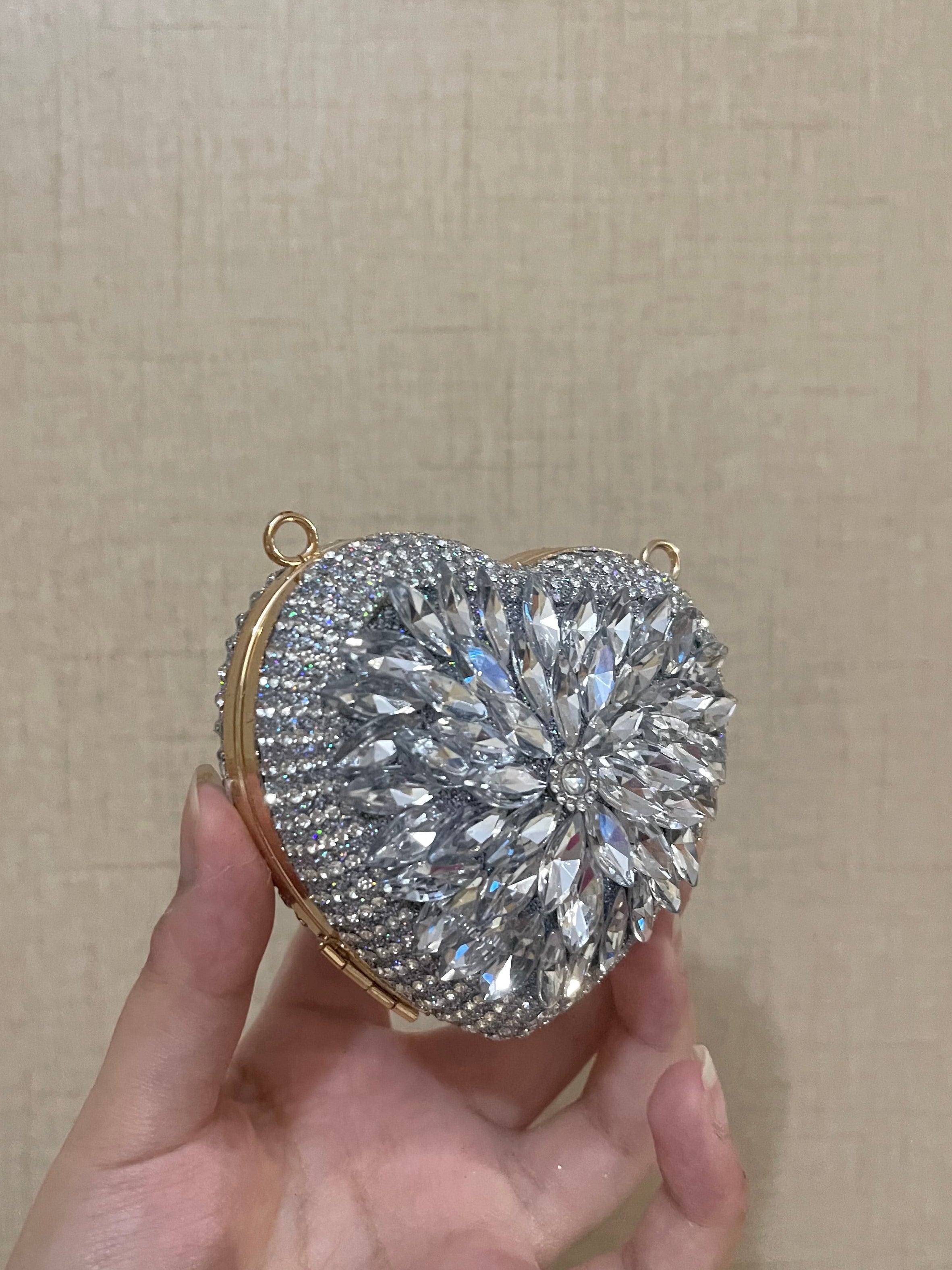 Crystal embellished , silver bag